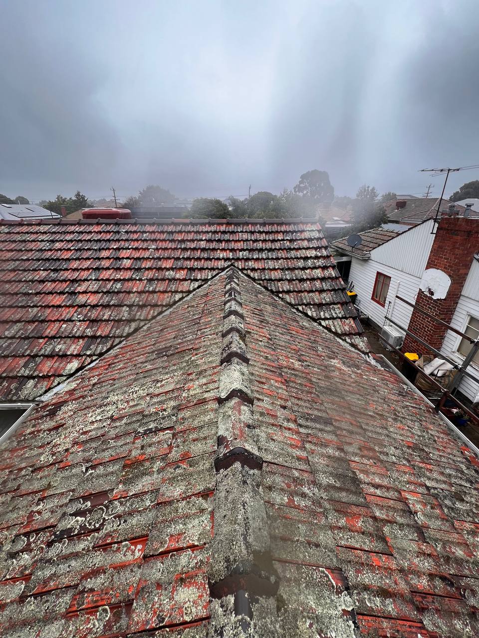 Before: Weathered tile roof with moss and lichen